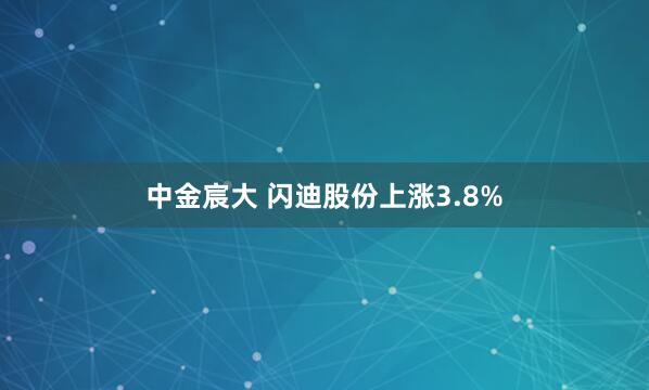 中金宸大 闪迪股份上涨3.8%